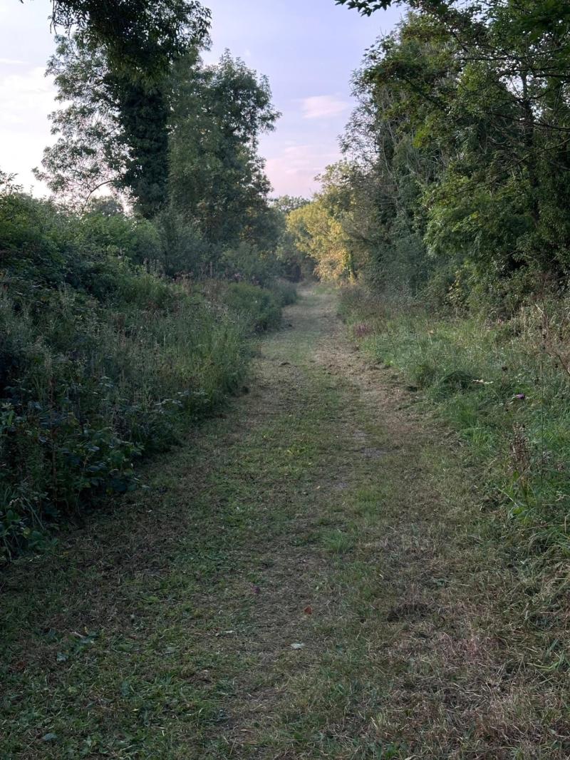 Fundraiser appeal for Sidella Greenway at Dundalk Famine Graveyard