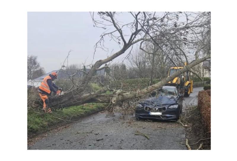 LIVE: driver has miraculous escape as tree falls on car during Storm Bram