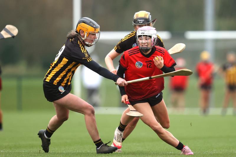Heartbreak for Louth champions St. Kevins in All-Ireland camogie final