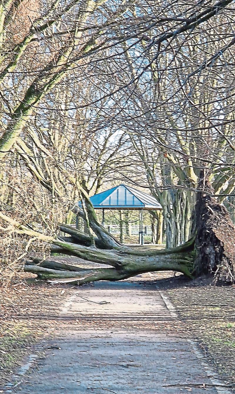 Year in Review: Looking back on the news across Louth in Janaury 2025