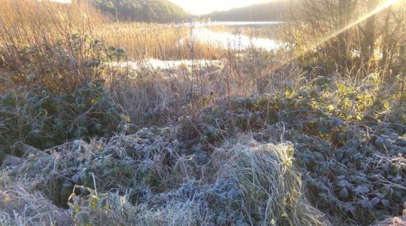 Louth Weather: Cold and dry to start with frost and icy patches