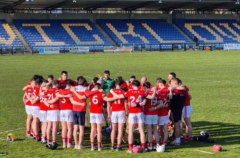 Louth end National Hurling League with defeat but retain Division Three status