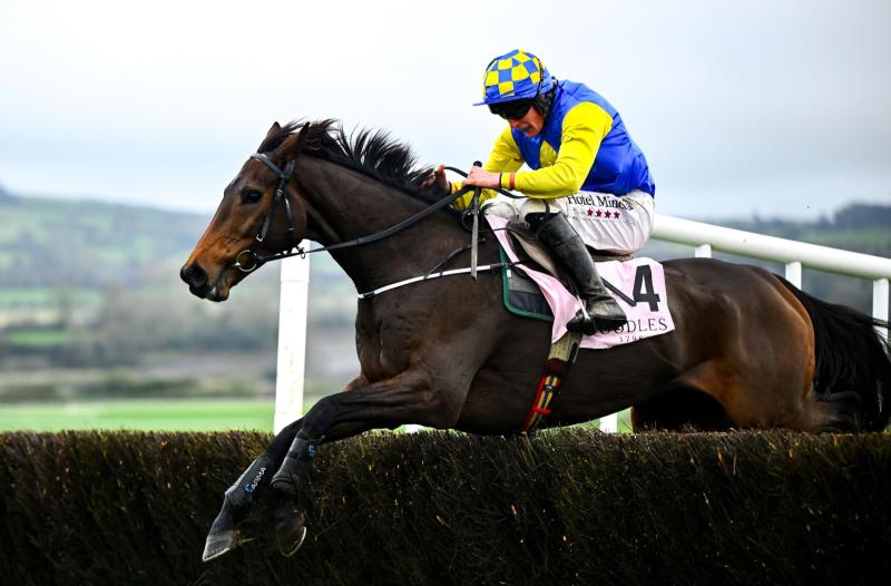 Inside Track: Oscar&rsquo;s Brother might answer the National question