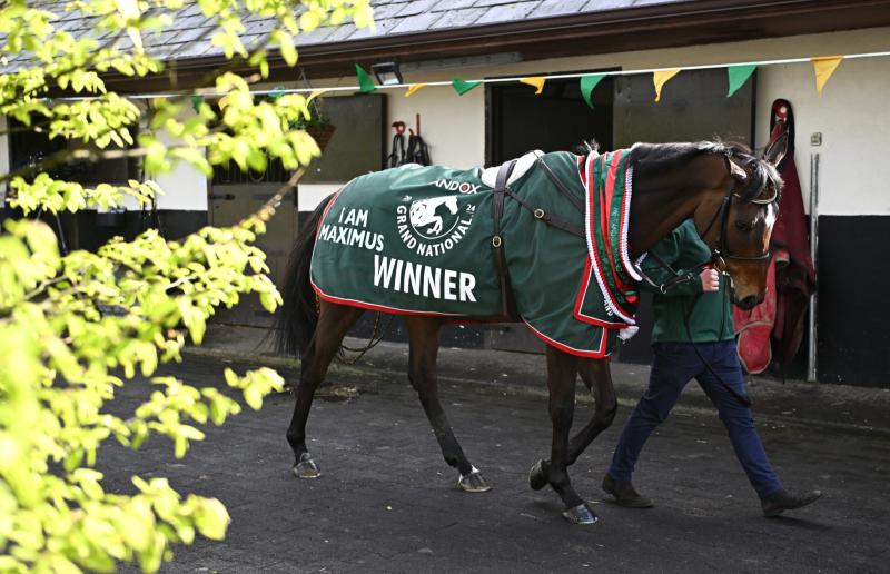 Inside Track: Oscar&rsquo;s wild jump at The Chair puts paid to our National hopes