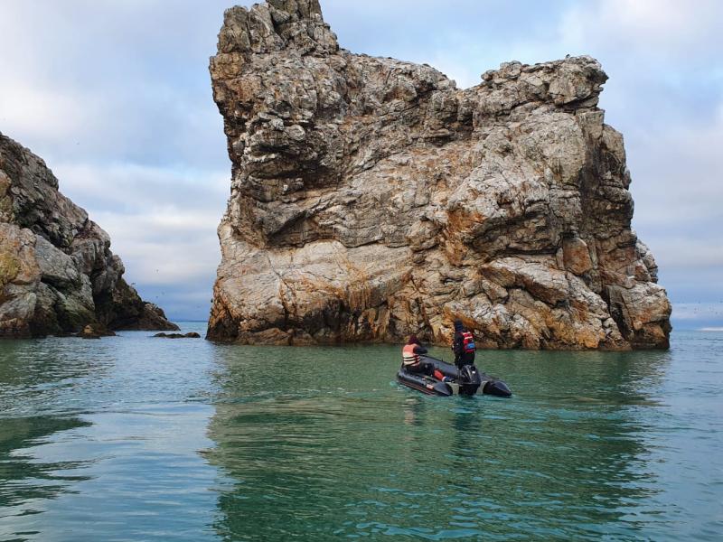 Dundalk Sub Aqua Unit involved in search for missing person in Malahide