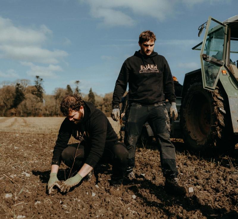 Louth distillery planting 2,000 trees to offset barrel use