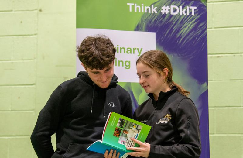 Dundalk Institute to hold CAO Information Day