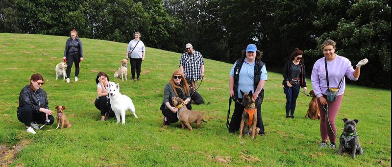 Puppy love as Irish Kennel Club comes to Dundalk