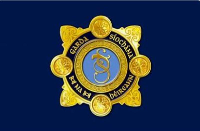 Dundalk gardai make appeal after masked men enter property armed with iron bar