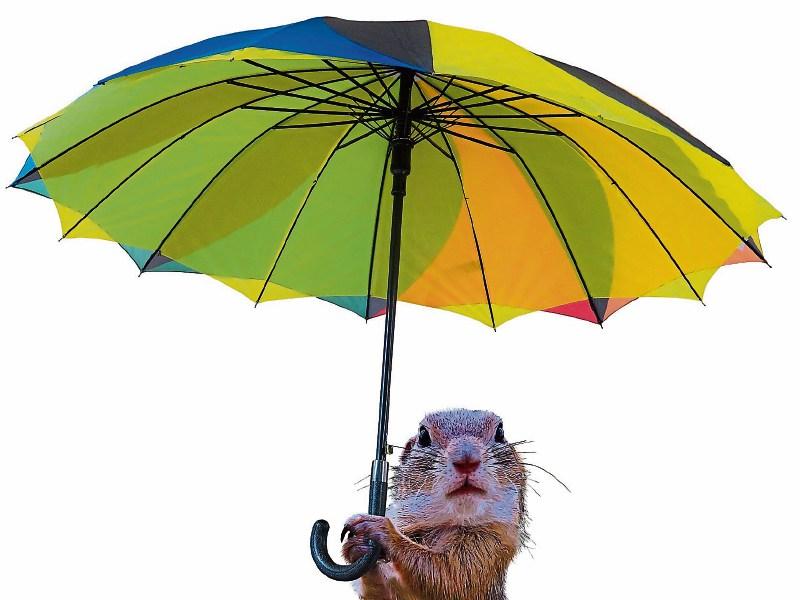Saturday's weather forecast for Louth 