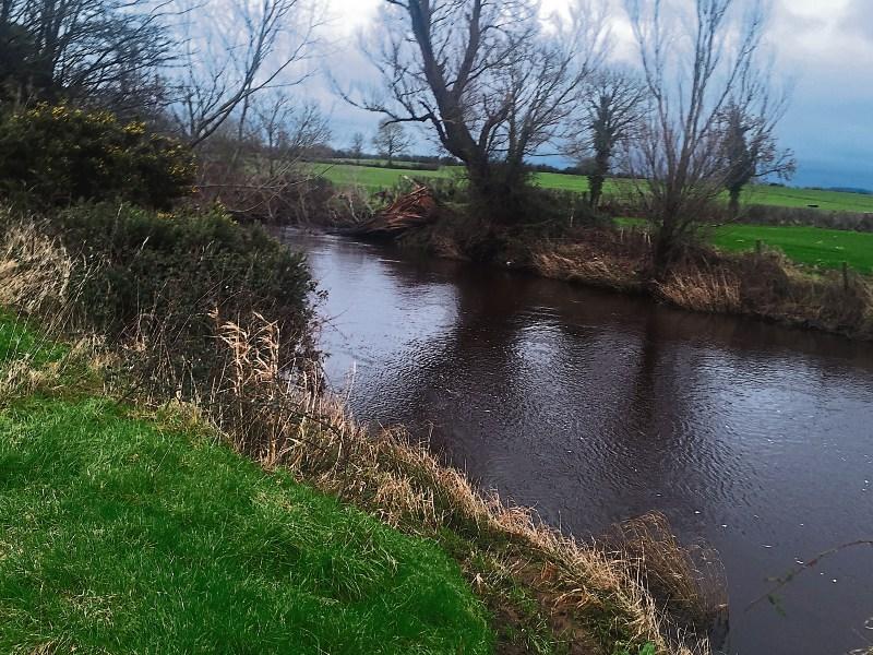 River Bank Clean Up