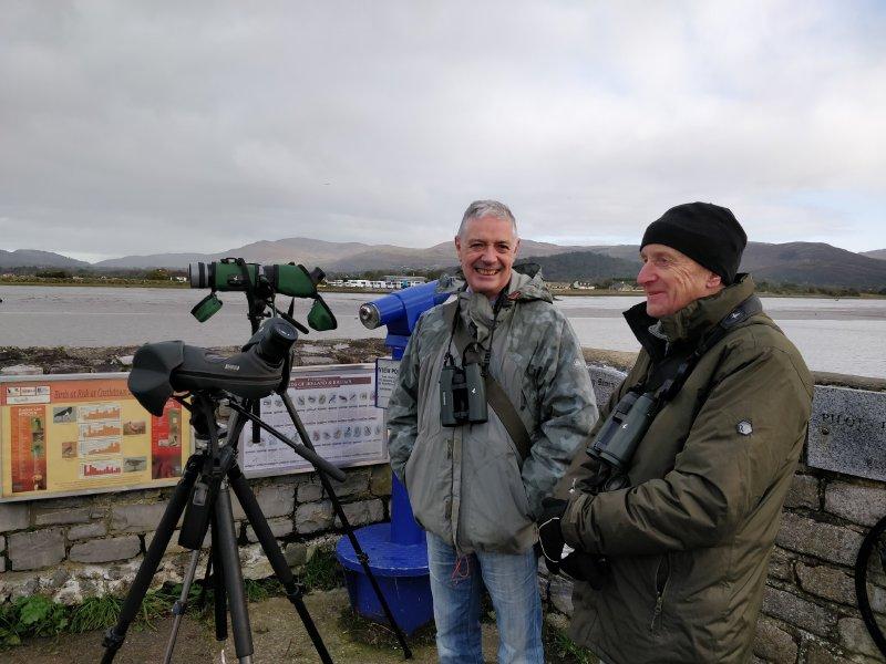 The unique birdwatching scene here in Dundalk