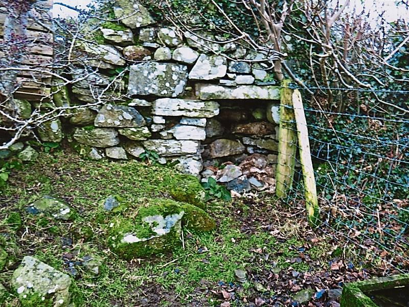 My great grandfather carted limestone from Ballymascanlon