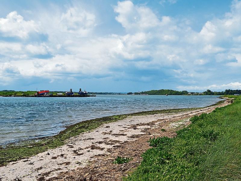 The mysterious sighting of a ‘mermaid’ on river in County Louth