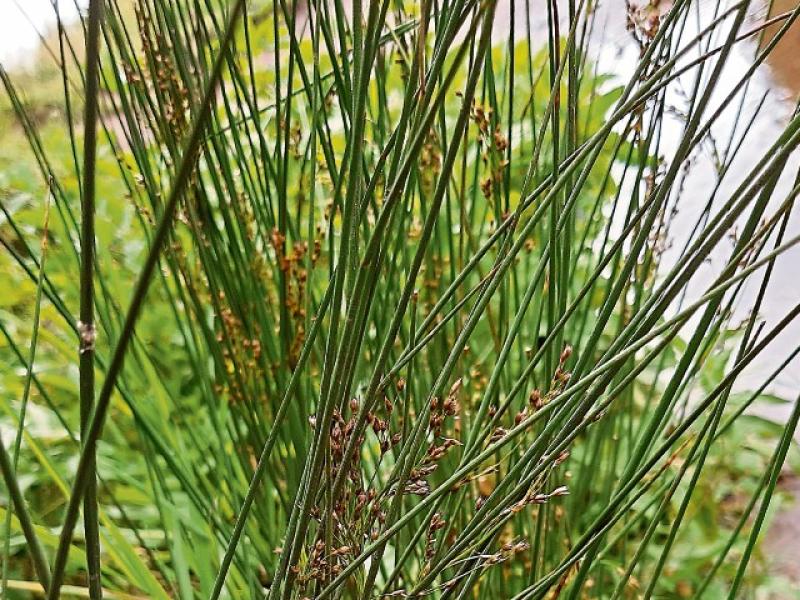 Trip Through Time: 'Broken Turn' on the road to Blackrock from Dundalk 