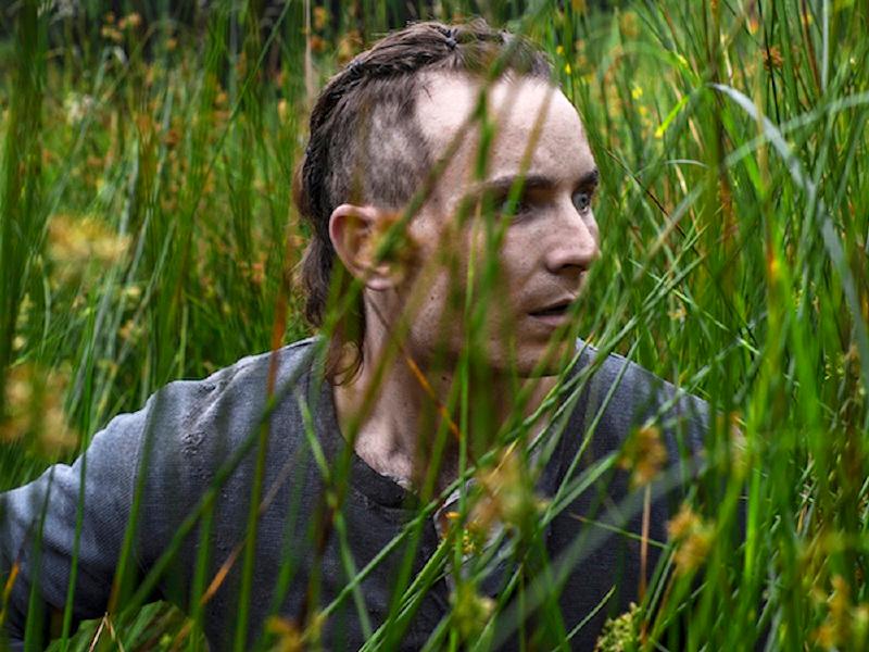 A good year for Irish cinema just got better