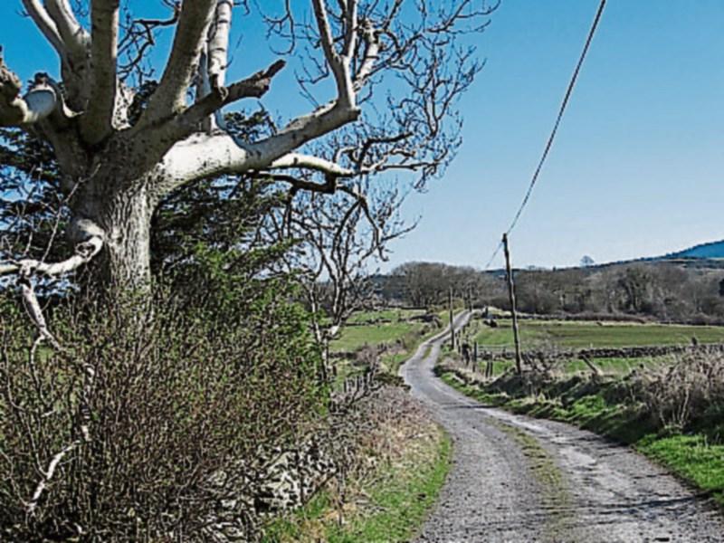 Local Improvement Scheme funding in Louth increased by &euro;96K