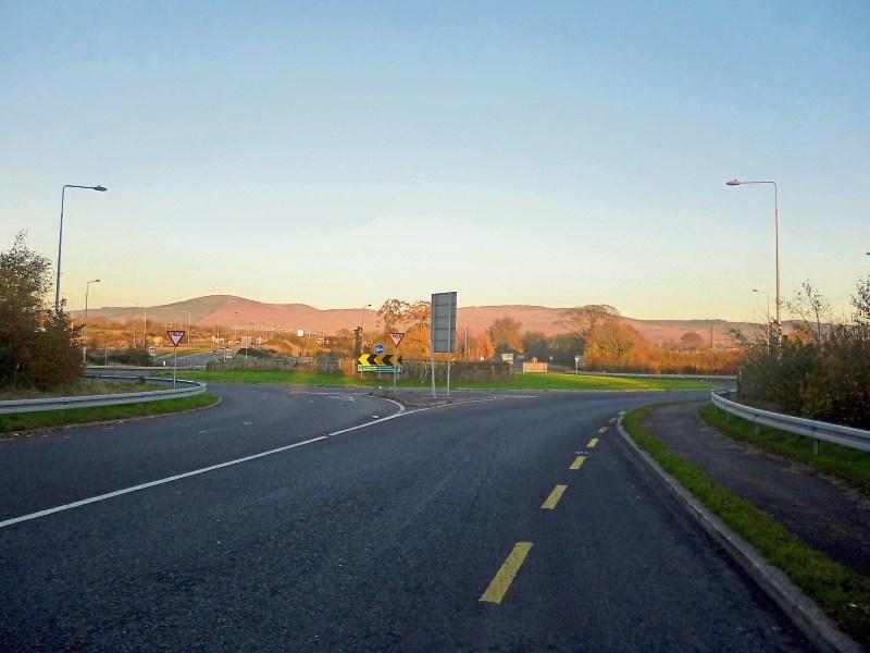 Was Edward Bruce crowned King of Ireland