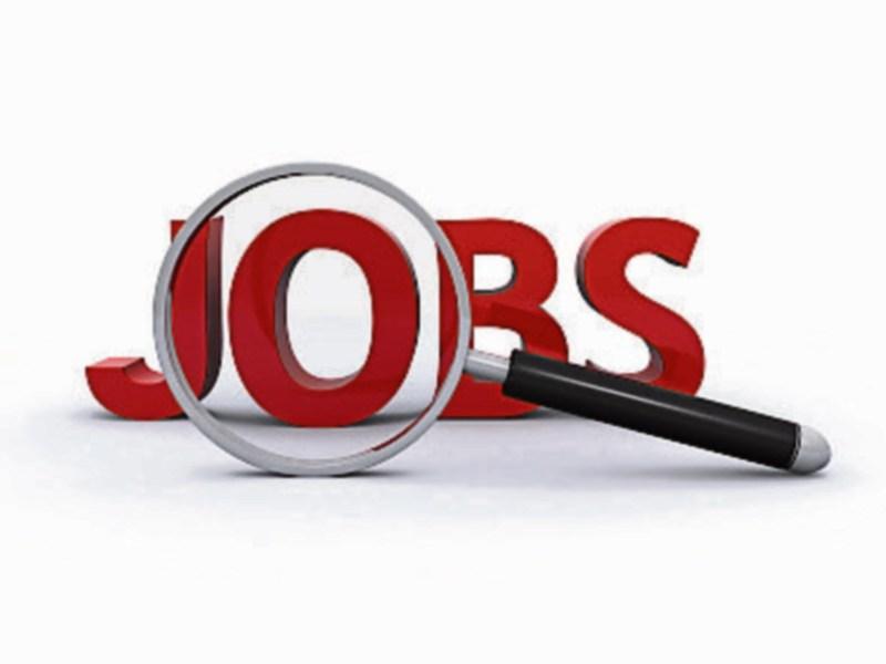 CENSUS 2016: IT, Finance, Construction and Social Work job roles increase in Louth