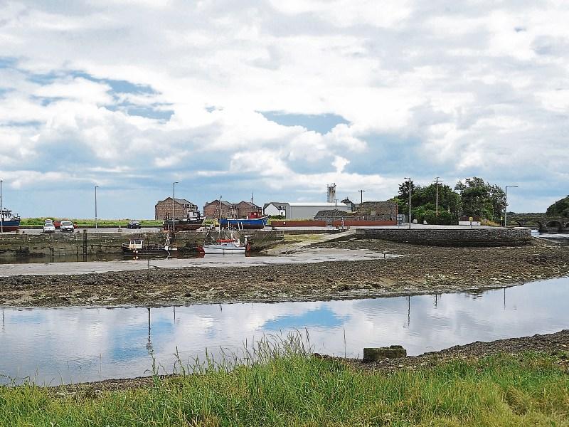 Council will look at harbour x