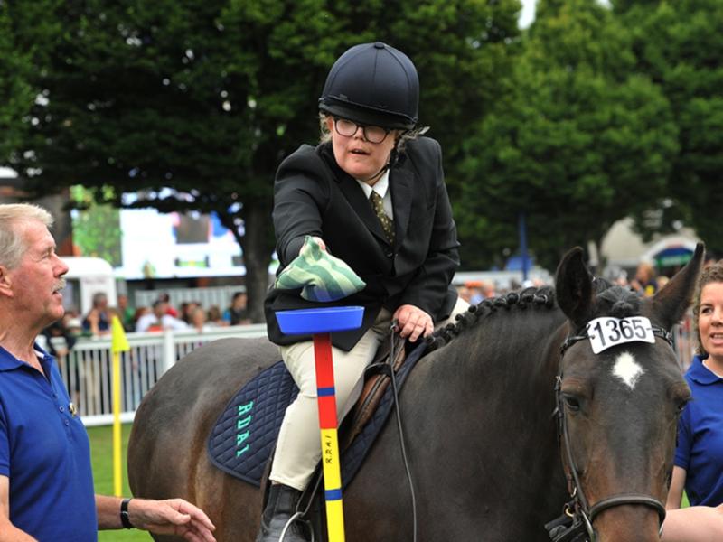 Ardee's Rachel puts on big display at Dublin Horse Show