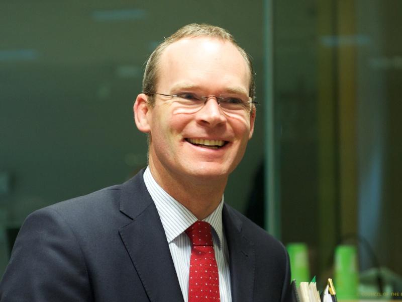 Minister Coveney plans to meet county councillors