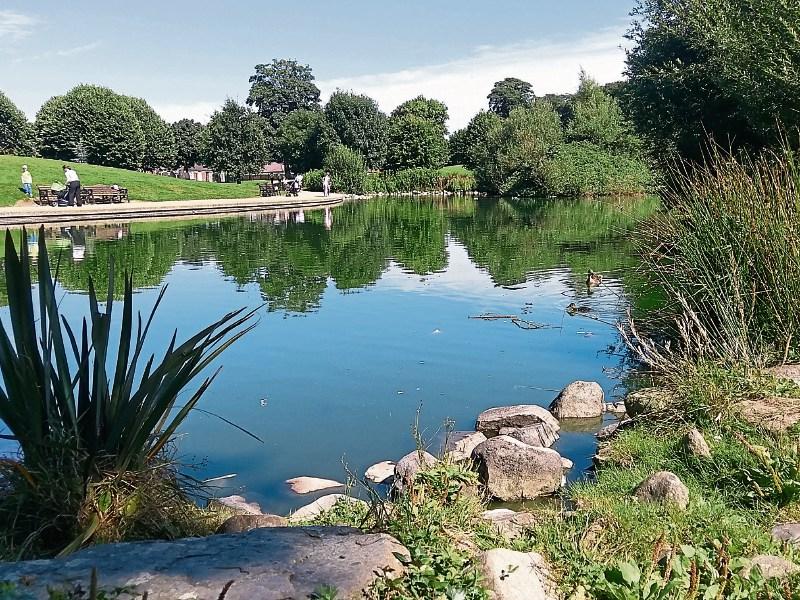 Four parks in Louth win An Taisce Green Flag awards