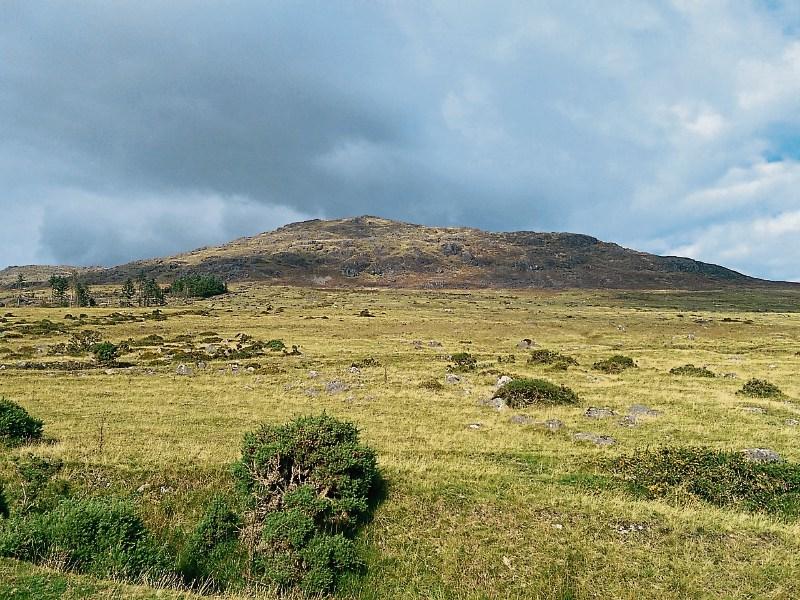 Cooley Mountains should be in line for grant says Breathnach
