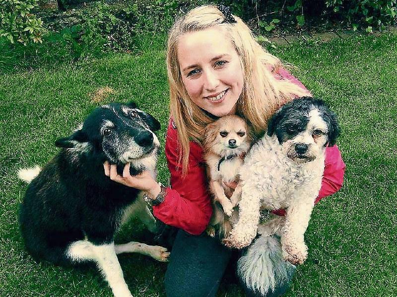 Brave rescue dog 'Major' needs your help folks