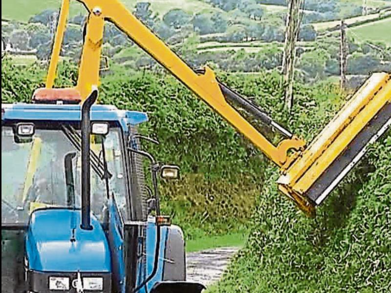 Appeal to landowners in Louth to cut overgrown hedges