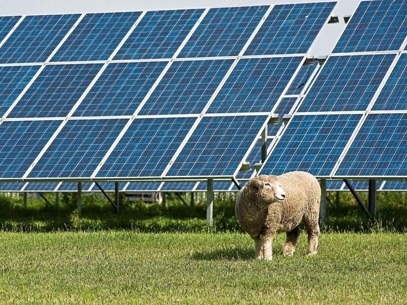 Plans progress for 184 acre solar farm in Louth