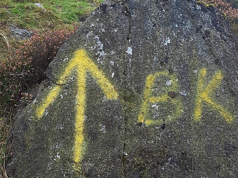 Louth IFA leader condemns Cooley rock graffiti