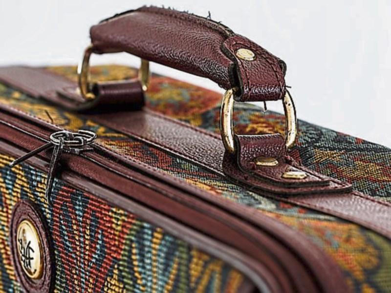 How can the county council reach out to Louth diaspora?