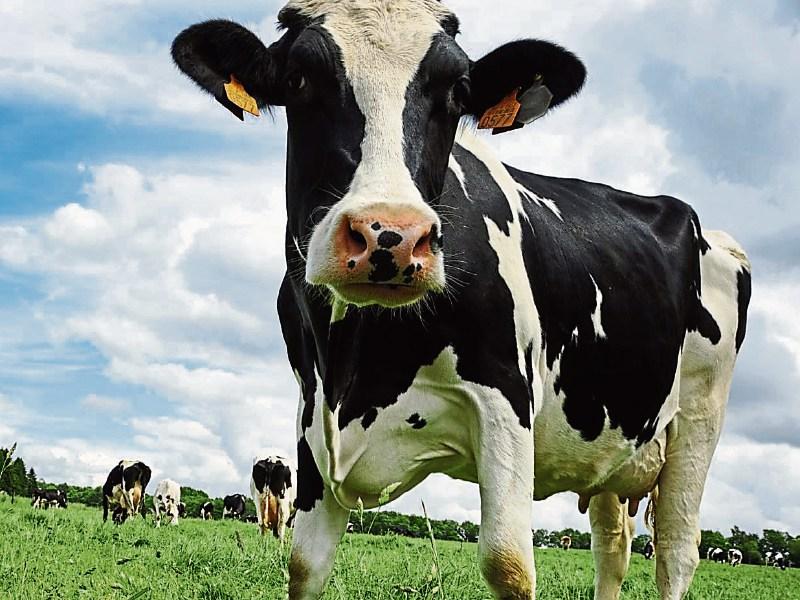 Lakeland Dairies pays over €28.6m to Louth farm families