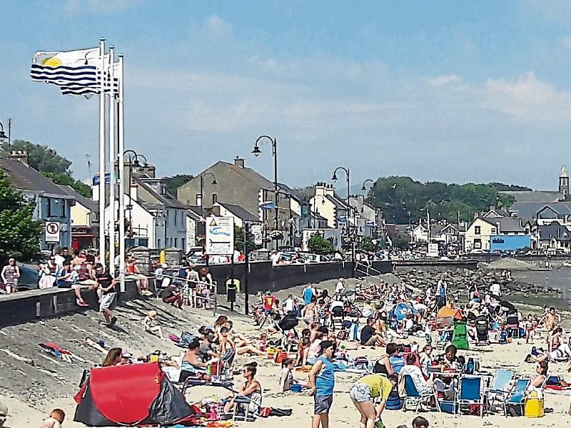 2016 was one of the most successful years ever for Blackrock Tidy Towns