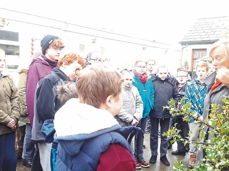 Ardee school flies flag for biodiversity