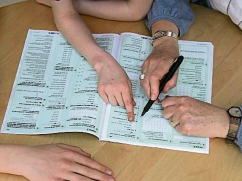 Census Pilot Survey asking people in Louth if they would like time capsule in 2021 Census form
