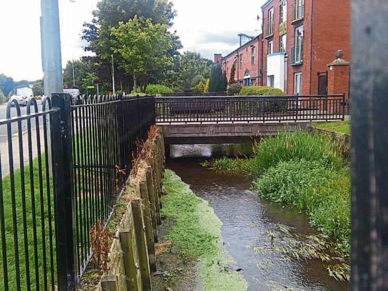 Condition of the Rampart stream in Dundalk