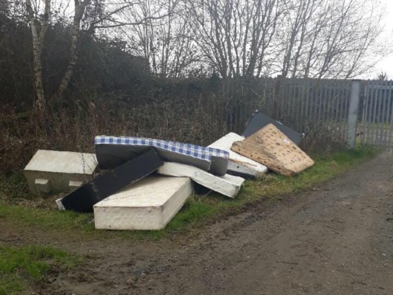 'Rampant' illegal dumping in Louth a 'major nuisance'