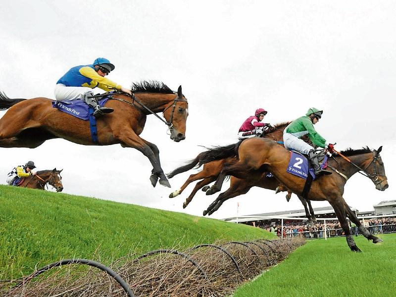 Punchestown Tips: Our man's top tips for Day 1 of Punchestown 2019