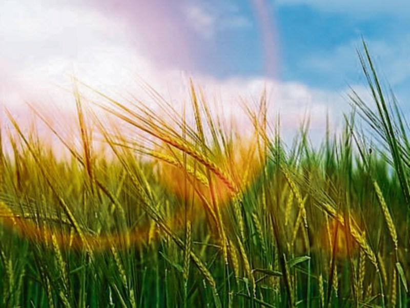 Louth Weather: Another warm and sunny day