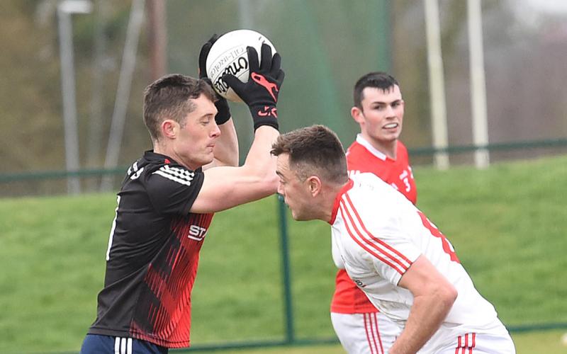 Louth's Declan Byrne enjoying transition into life as a goalkeeper 