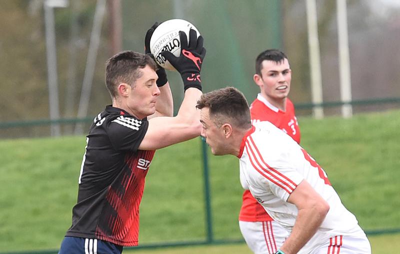 Two Louth goalkeepers withdraw from Mickey Harte's senior panel