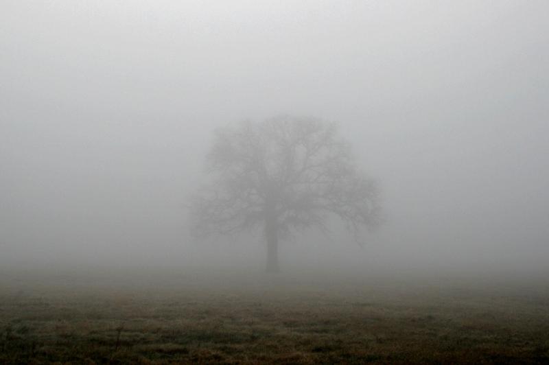 Friday's weather in Louth 
