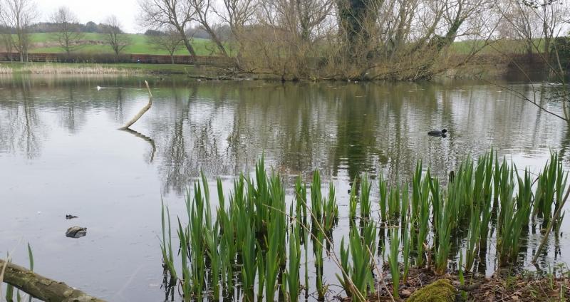People in Louth to get chance to air views on local water quality