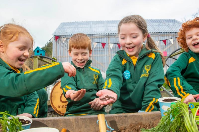 Louth primary schools urged to apply for free seed growing kits