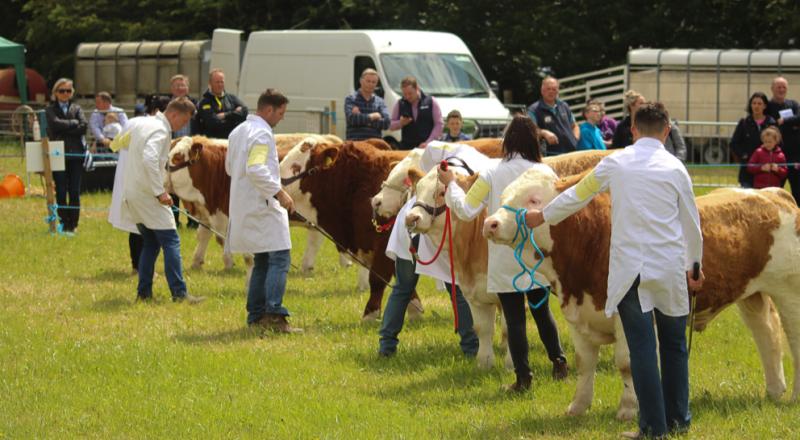 Louth Show set to return this year 