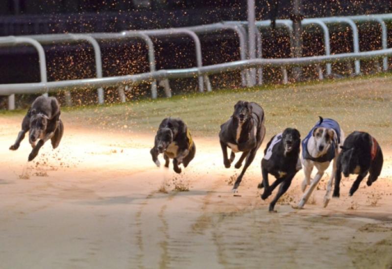 Action from Dundalk Stadium