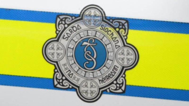 Louth Garda honoured with Scott medal for risking life during arrest of an armed burglar in Omeath