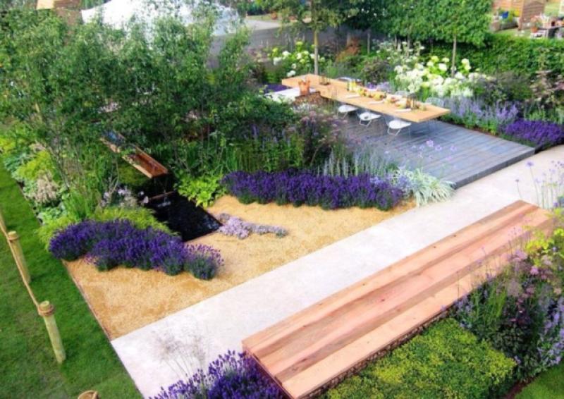Dundalk garden designer takes home gold at London flower show 